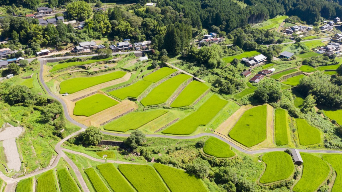 恵那市の坂折棚田