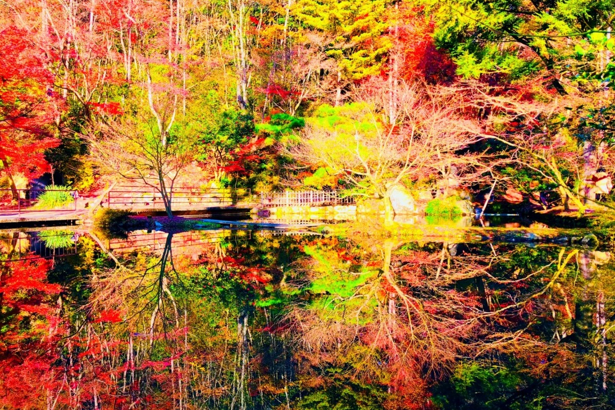 曽木公園の逆さ紅葉
