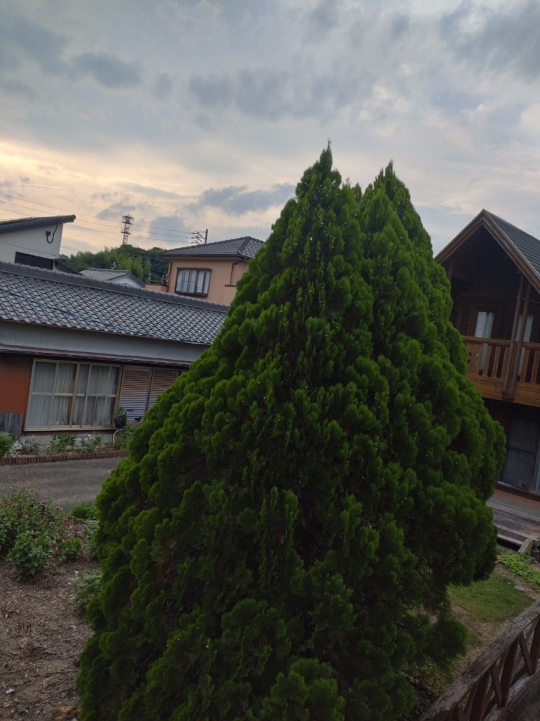 東郷町諸輪の光仕様の新築でのデザインアンテナ壁面工事