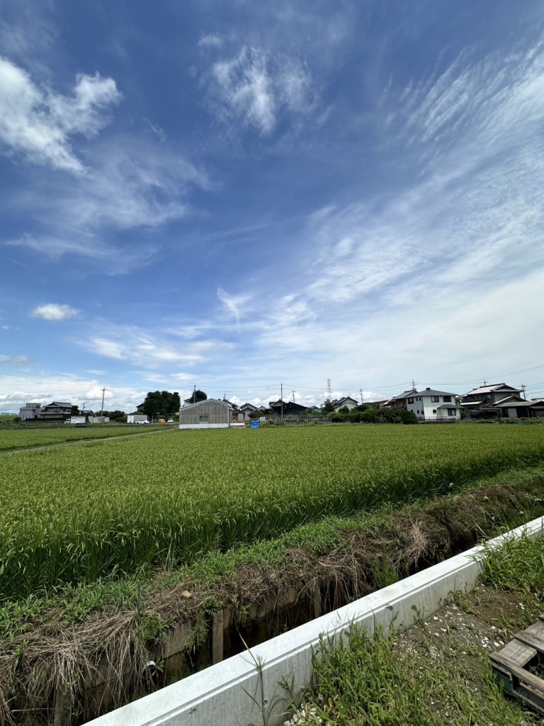 桑名市長島町小島のガルバリウム外壁新築で光仕様住宅でのデザインアンテナ壁面工事