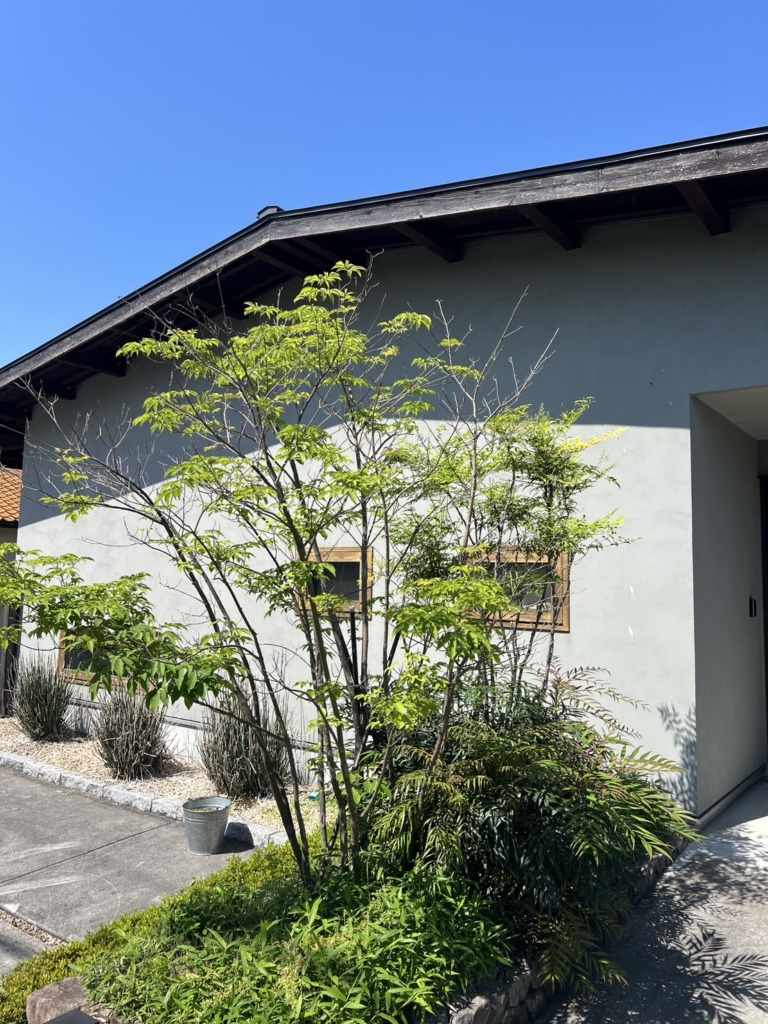 一宮市今伊勢町馬寄の既存住宅　受信不良修理・テレビ映り修理